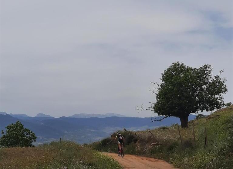 민박 Alpujarra Guesthouse, Habitaciones En Un Cortijo Sostenible Y Aislado En Medio De La Nada En Parque