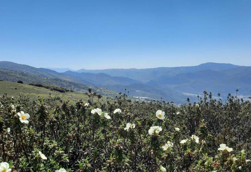 민박 Alpujarra Guesthouse, Habitaciones En Un Cortijo Sostenible Y Aislado En Medio De La Nada En Parque
