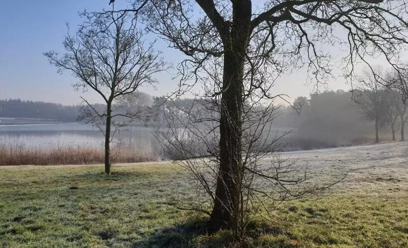 ベッドアンドブレックファースト Guesthouse Het Gouden Eiland