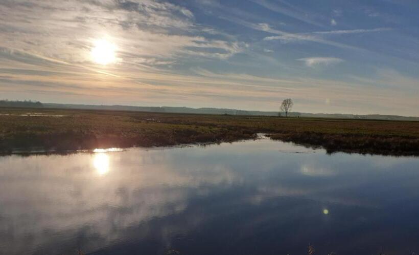 צימר Guesthouse Het Gouden Eiland