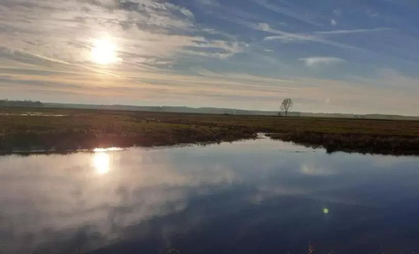 ベッドアンドブレックファースト Guesthouse Het Gouden Eiland