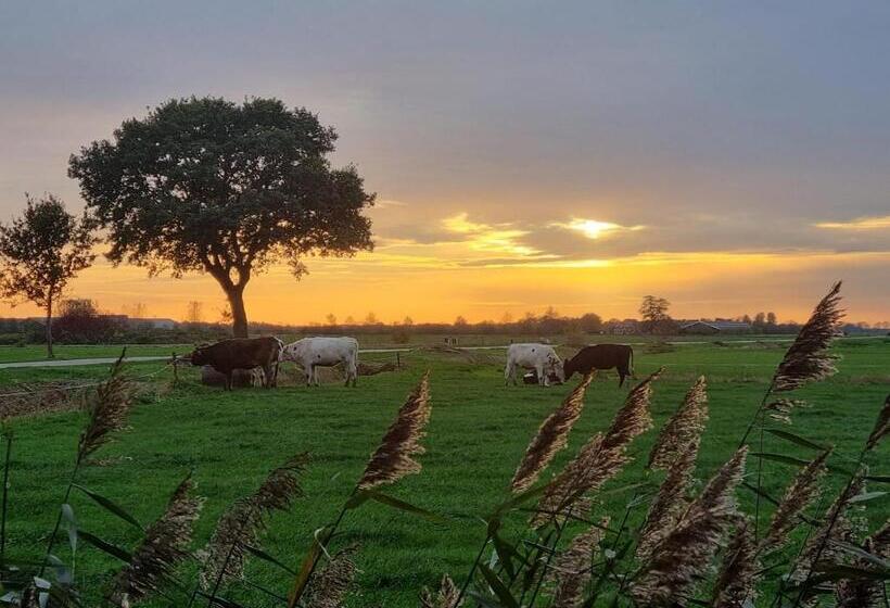 צימר Guesthouse Het Gouden Eiland