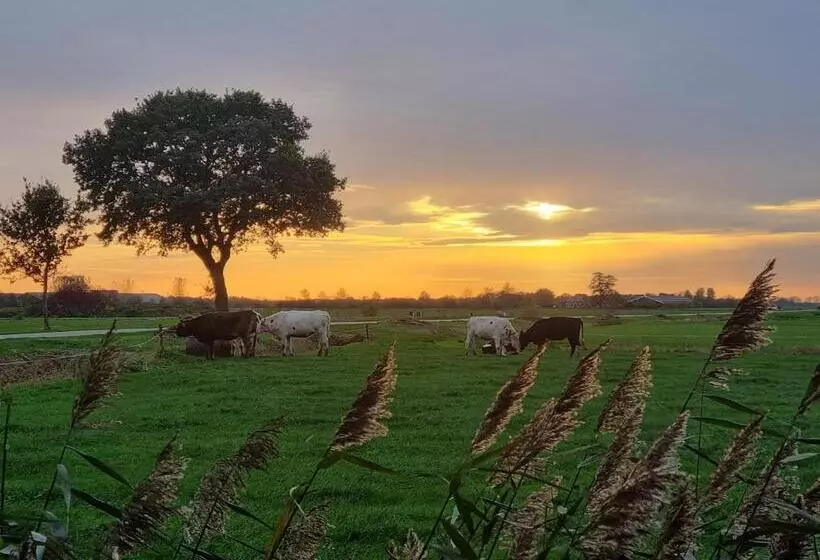 ベッドアンドブレックファースト Guesthouse Het Gouden Eiland