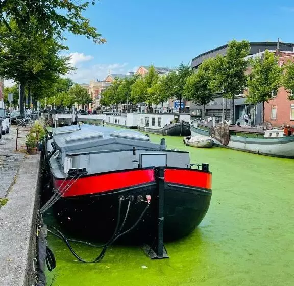 ベッドアンドブレックファースト Guesthouse Het Gouden Eiland