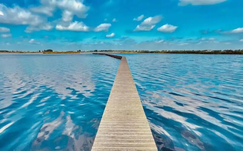 ベッドアンドブレックファースト Guesthouse Het Gouden Eiland