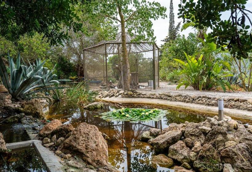 ホテル Robby S Ibiza