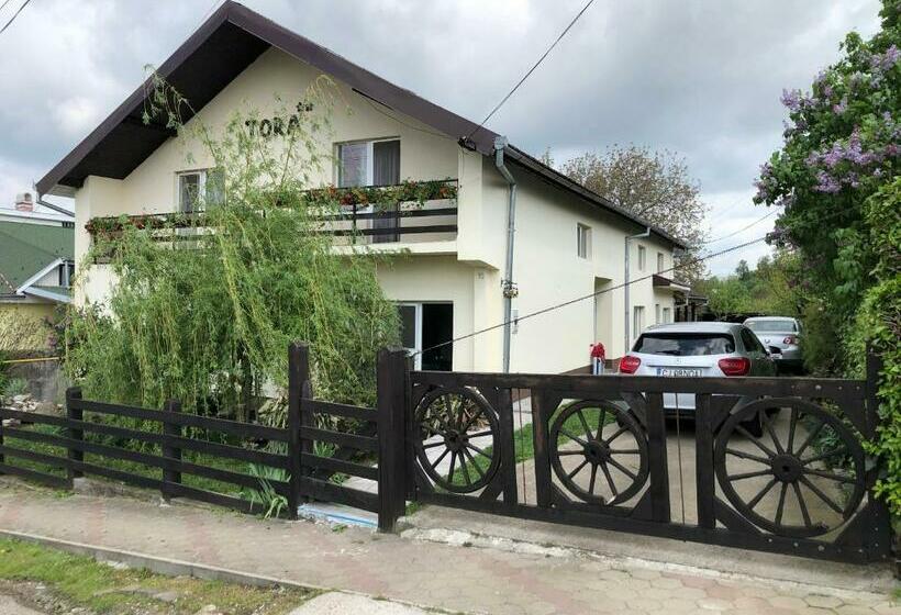 펜션 Casa Tora Tasnad