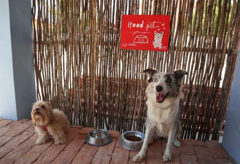 פנסיון La Villita Chalés