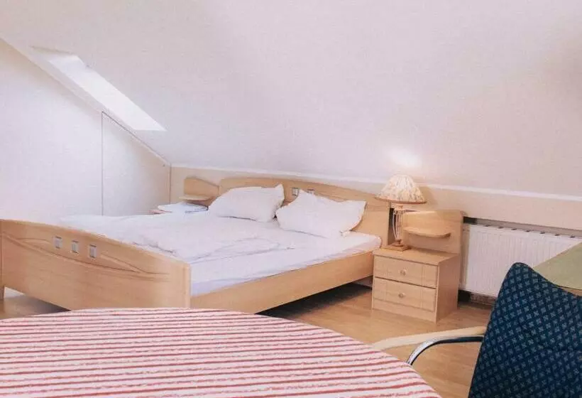 ユースホステル Gästehaus Samuel Wadgassen