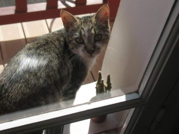 Aamiaismajoitus (B&B) Au Bosquet, Chambre Et Salle De Bains Avec Petit Déjeuner à 600 M Du Centre Dans Un Cadre Calme Et V