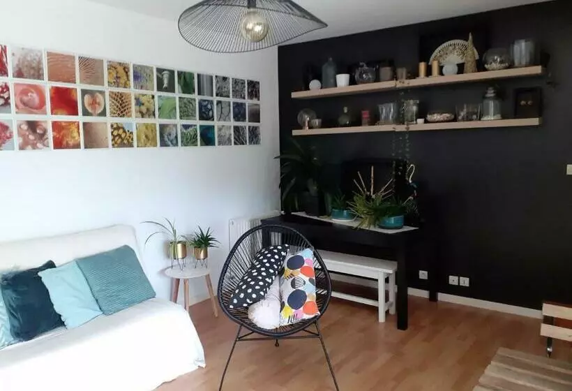 تختخواب و صبحانه Au Bosquet, Chambre Et Salle De Bains Avec Petit Déjeuner à 600 M Du Centre Dans Un Cadre Calme Et V