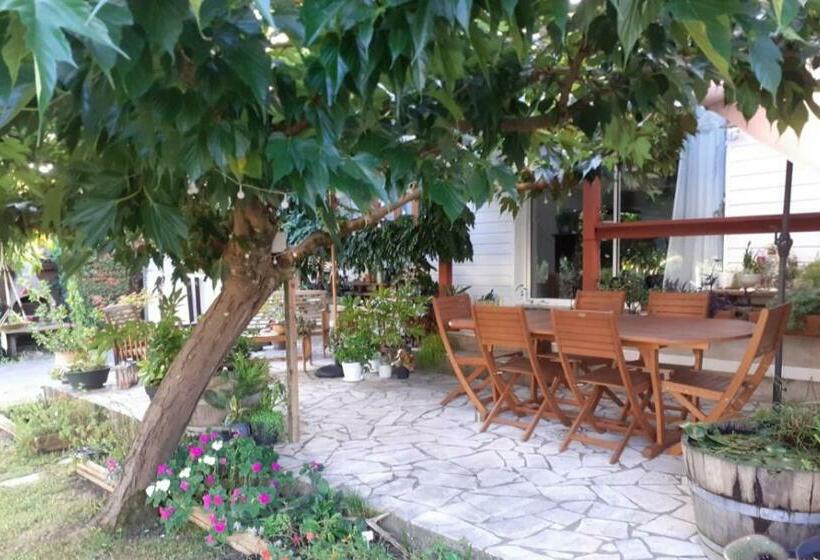 Aamiaismajoitus (B&B) Au Bosquet, Chambre Et Salle De Bains Avec Petit Déjeuner à 600 M Du Centre Dans Un Cadre Calme Et V