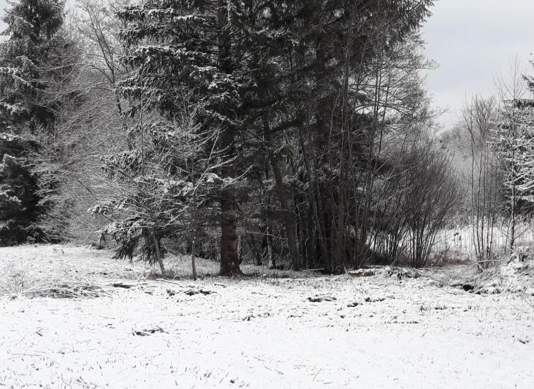 住宿加早餐  Chambre D Hôte Le Châtaignier