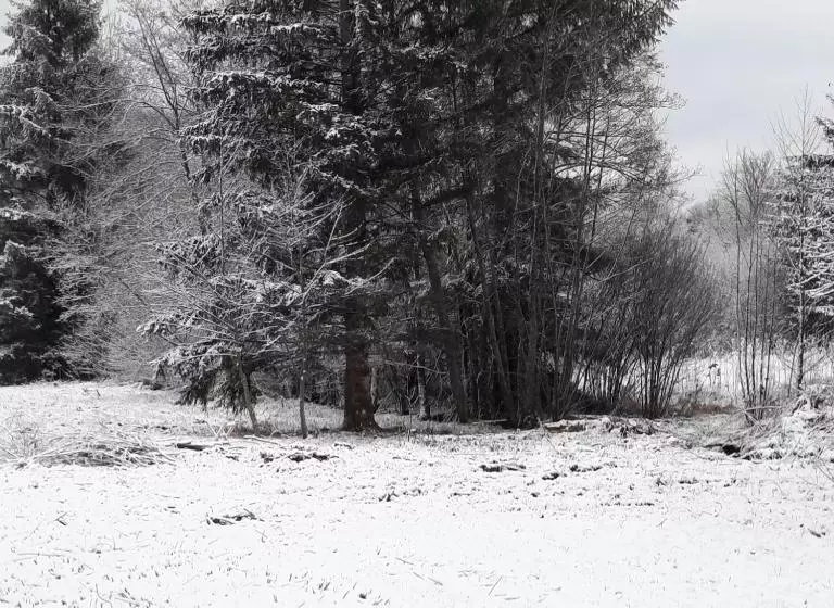 ベッドアンドブレックファースト Chambre D Hôte Le Châtaignier