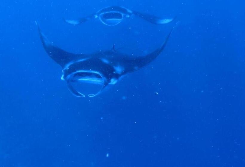 تختخواب و صبحانه La Luna Boutique Dhangethi