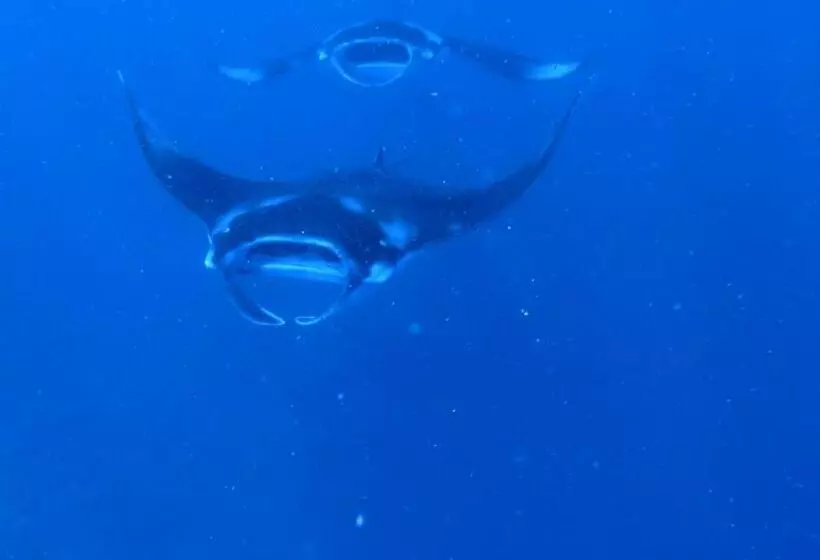 تختخواب و صبحانه La Luna Boutique Dhangethi