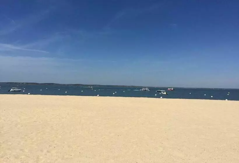 Aamiaismajoitus (B&B) Le Teich Tranquille