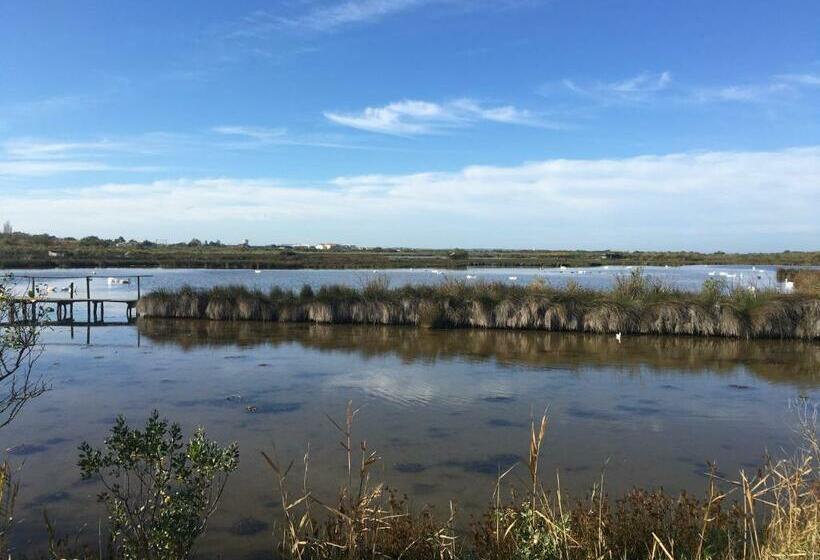 Bed and Breakfast Le Teich Tranquille