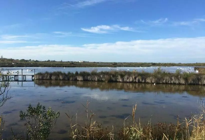 Aamiaismajoitus (B&B) Le Teich Tranquille