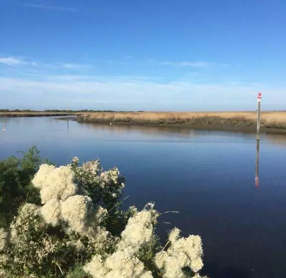 Aamiaismajoitus (B&B) Le Teich Tranquille