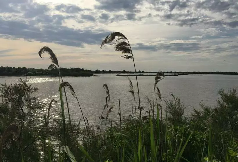 Aamiaismajoitus (B&B) Le Teich Tranquille