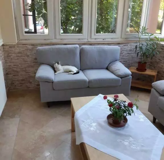 Aamiaismajoitus (B&B) Palóc Panzió