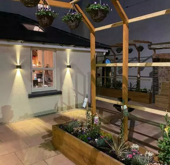 هتل Domo Boutique