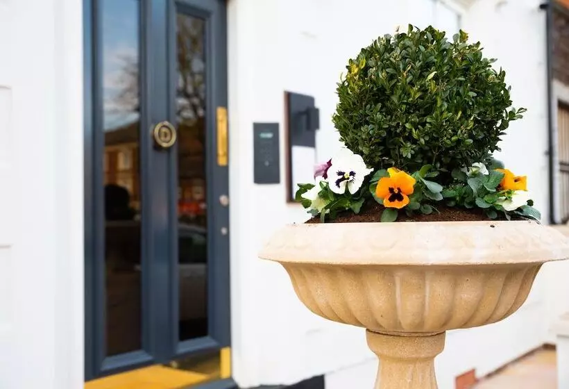 هتل Domo Boutique