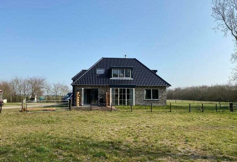 Bed and Breakfast Logies Boszicht Texel