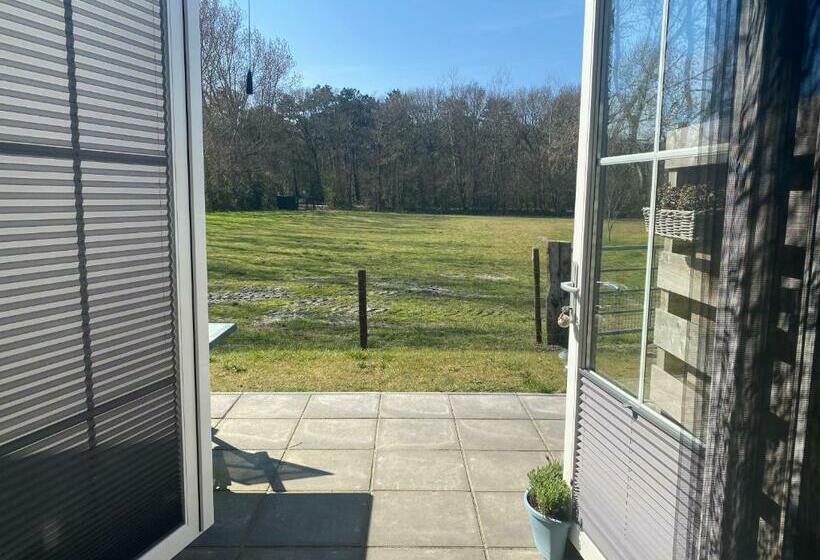 Bed and Breakfast Logies Boszicht Texel