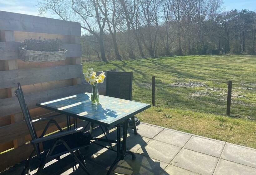 Bed and Breakfast Logies Boszicht Texel