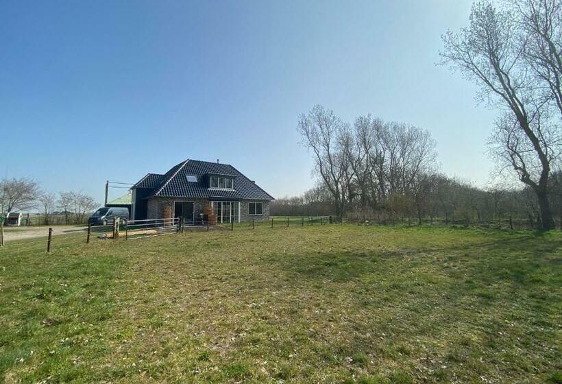 Bed and Breakfast Logies Boszicht Texel