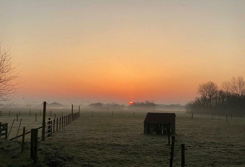 Bed and Breakfast Logies Boszicht Texel