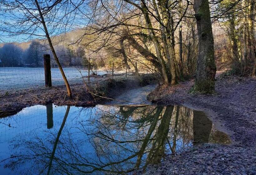 تختخواب و صبحانه Cochlea