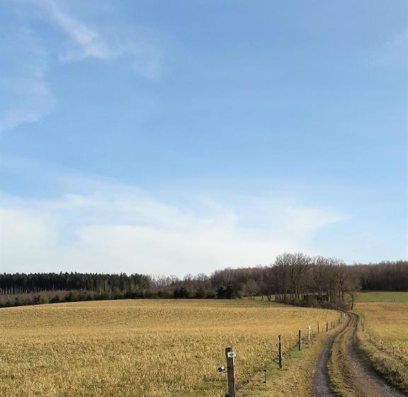 تختخواب و صبحانه Cochlea