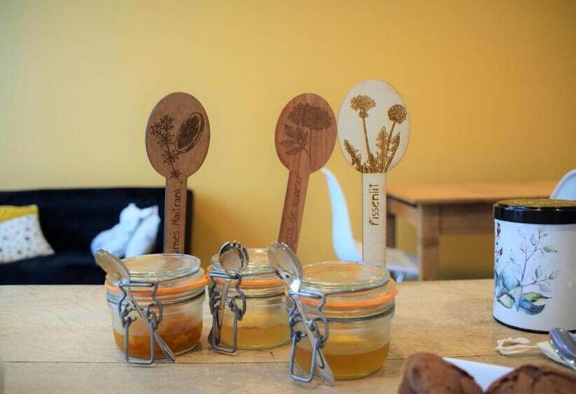 تختخواب و صبحانه Cochlea