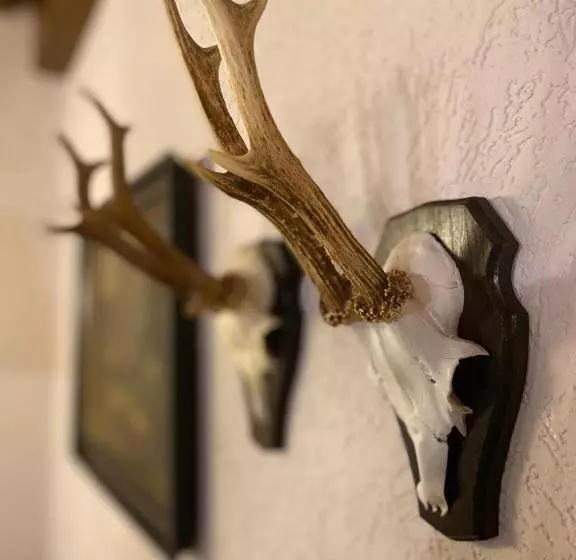 ベッドアンドブレックファースト Gasthof Scherer