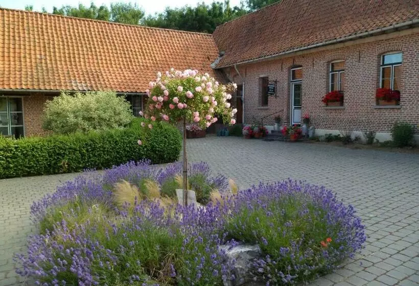 Aamiaismajoitus (B&B) Gîte De La Noyelle à Sainghin En Mélantois