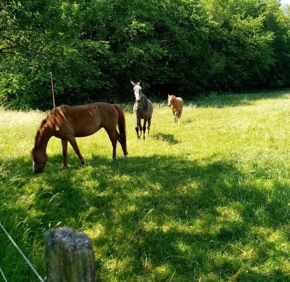 مبيت وإفطار Gîte De La Noyelle à Sainghin En Mélantois