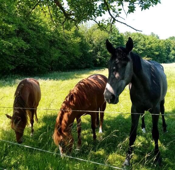 مبيت وإفطار Gîte De La Noyelle à Sainghin En Mélantois