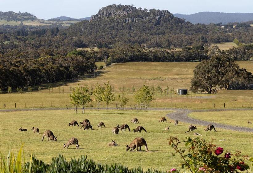 Bed and Breakfast Hanging Rock Views