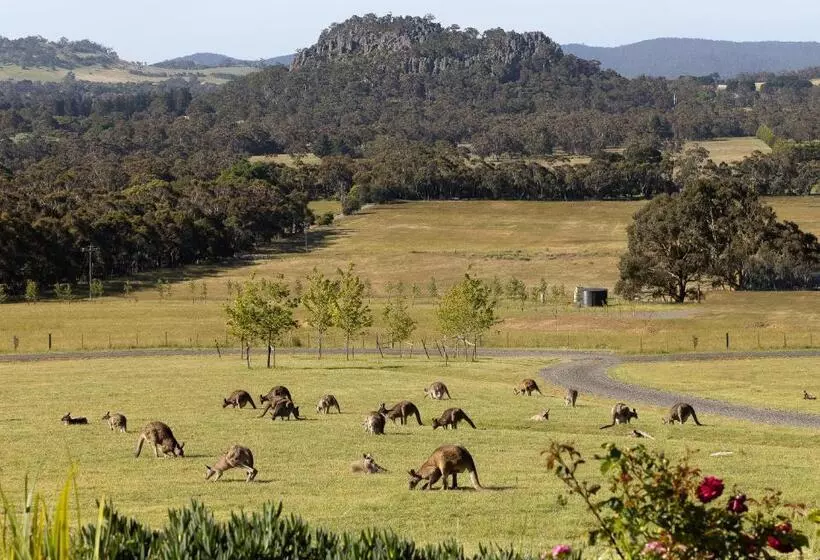 Aamiaismajoitus (B&B) Hanging Rock Views