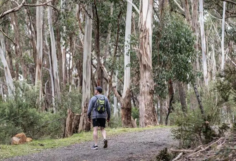 Aamiaismajoitus (B&B) Hanging Rock Views