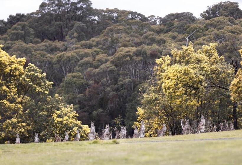 Bed and Breakfast Hanging Rock Views