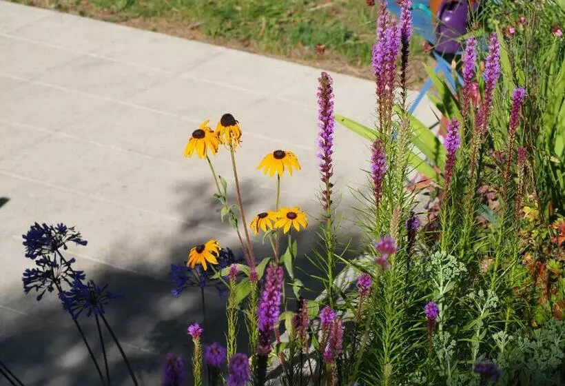 Aamiaismajoitus (B&B) Les Vergers De Cussy