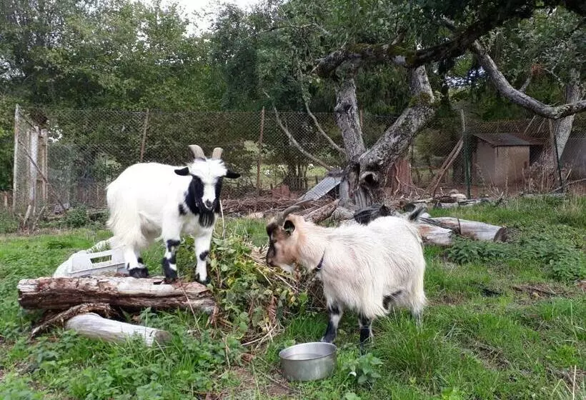 Aamiaismajoitus (B&B) Les Vergers De Cussy