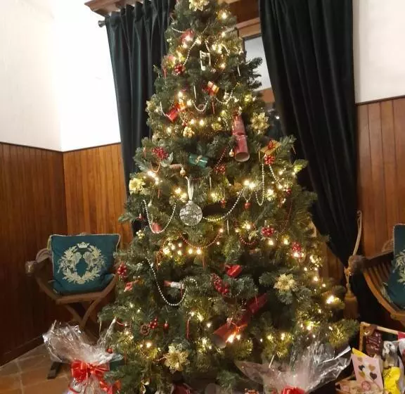 Aamiaismajoitus (B&B) Monti Guesthouse