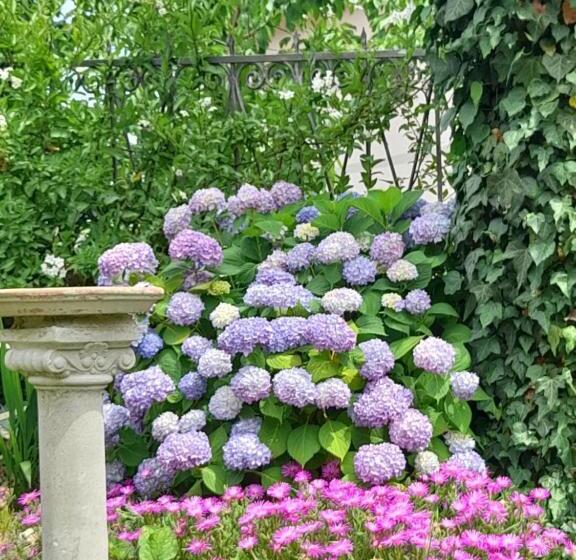 مبيت وإفطار Monti Guesthouse