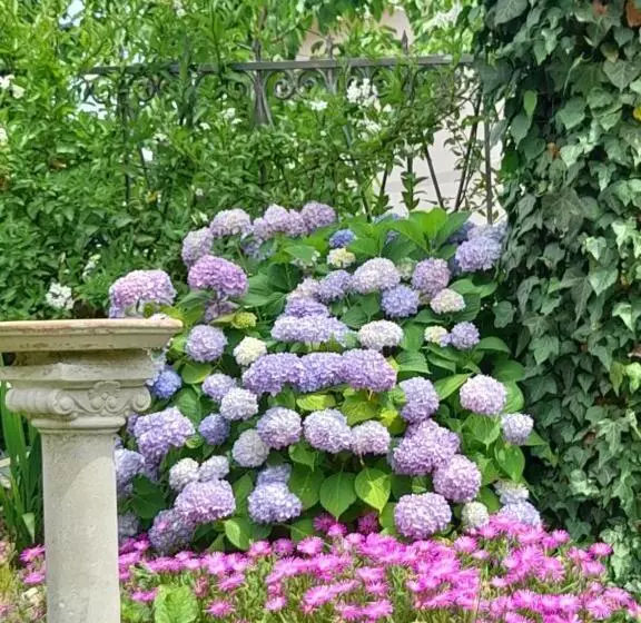 Aamiaismajoitus (B&B) Monti Guesthouse