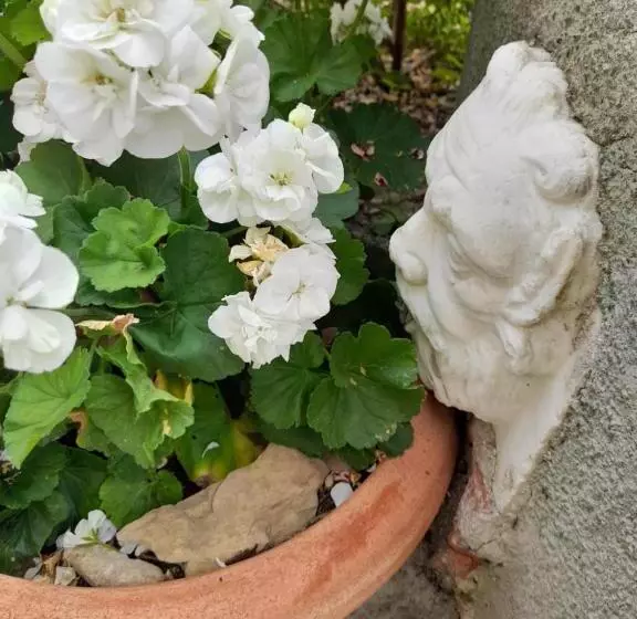 Aamiaismajoitus (B&B) Monti Guesthouse